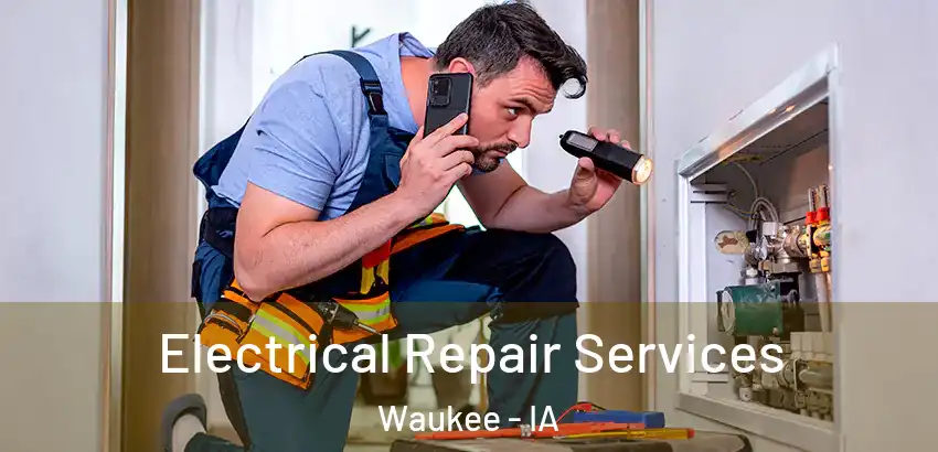 Electrical Repair Services Waukee - IA